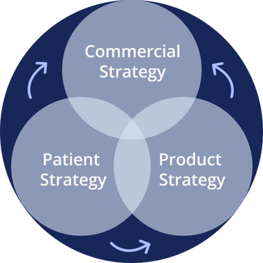 Our Process Visual v2